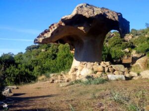 Il fungo di Orotelli monumento naturale