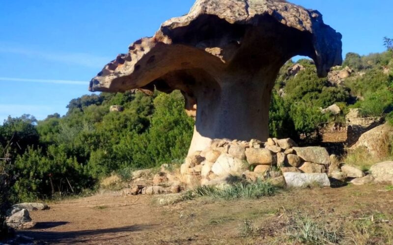 Il fungo di Orotelli monumento naturale